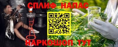 прущие грибы Апшеронск