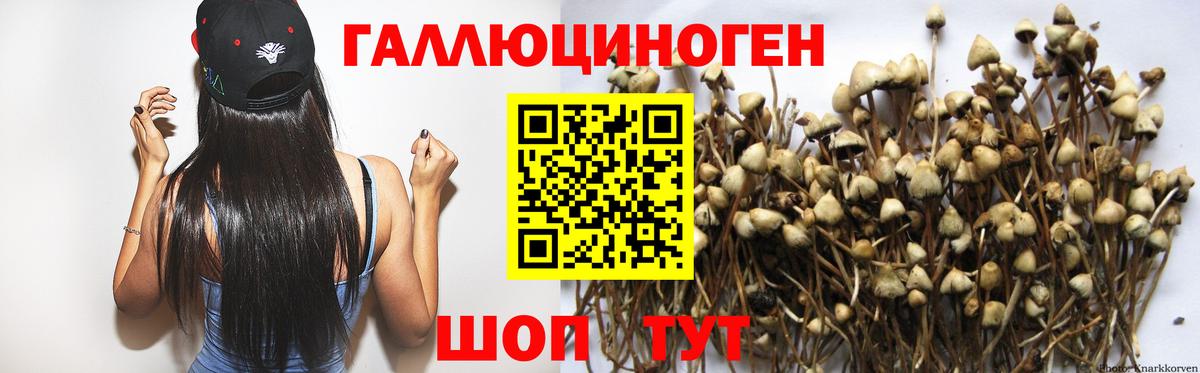 Галлюциногенные грибы ЛСД  Вход с VPN  Верхняя Пышма  Псилоцибиновые грибы Psilocybine cubensis 